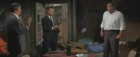 Lady In Cement (1968)