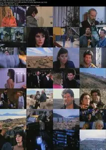 After the Condor (1991)
