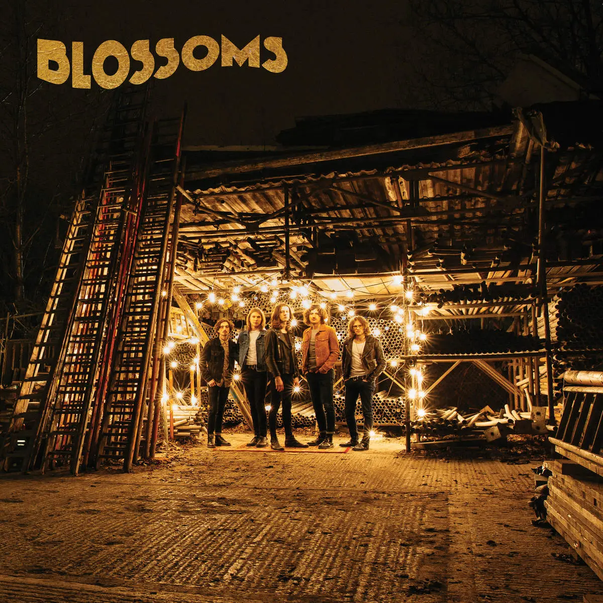 Blossoms - Blossoms (2016)