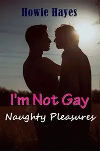 «I'm Not Gay» by Howie Hayes