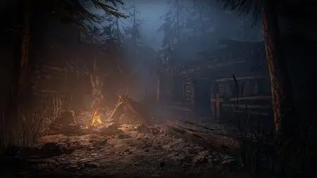 Outlast 2 (2017)