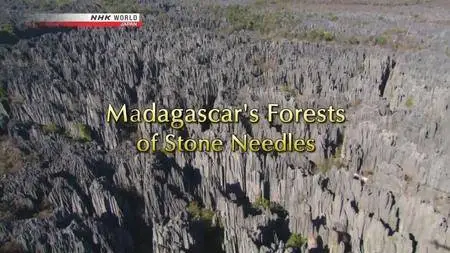 NHK Great Nature - Madagascar's Forests of Stone Needles (2013)