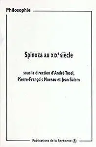 Spinoza au XIXe siècle: Actes des journées d'études organisées à la Sorbonne (9 et 16 mars, 23 et 30 novembre 1997)