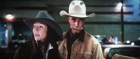 Did You Hear About the Morgans? (2009)