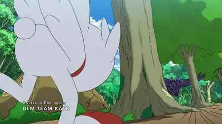 Pokémon S23E14