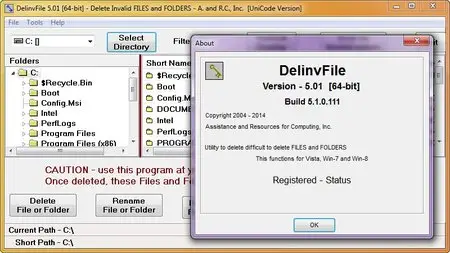 DelinvFile 5.01 Build 5.1.0.111