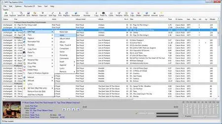 MP3 Tag Expresss 6.9.5 + Portable