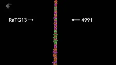 Channel 4 - Did Covid Leak from a Lab in China? (2021)