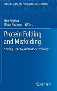 Protein Folding and Misfolding: Shining Light by Infrared Spectroscopy (Repost)