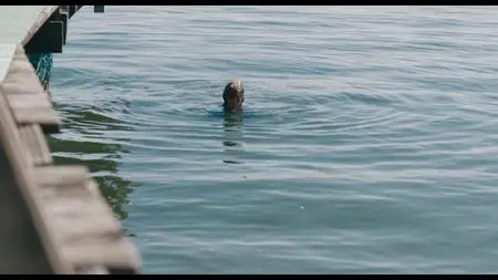 Baby S02E03