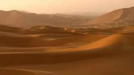 BBC - Wild Arabia (Repost)