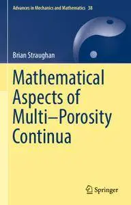 Mathematical Aspects of Multi–Porosity Continua