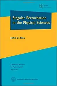 Singular Perturbation in the Physical Sciences (Repost)