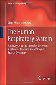 The Human Respiratory System: An Analysis of the Interplay between Anatomy, Structure, Breathing and Fractal Dynamics (Repost)