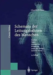 Schemata der Leitungsbahnen des Menschen