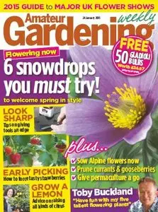 Amateur Gardening - 24 January 2015 (True PDF)