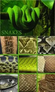 SNAKES