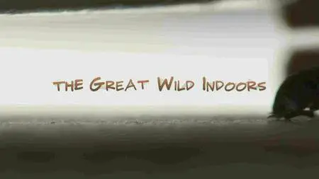 CBC - The Nature of Things: The Great Wild Indoors (2017)