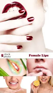 Photos - Female Lips