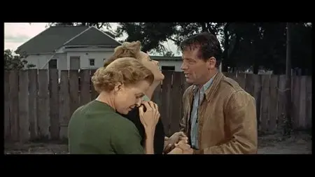 Picnic (1955)