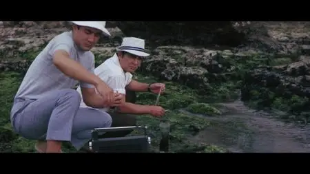 Gamera vs. Zigra (1971)