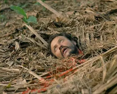 Aguirre, der zorn des Gottes/Aguirre: The Wrath of God (1972)
