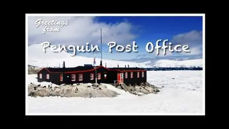 BBC - Natural World: Penguin Post Office (2014)