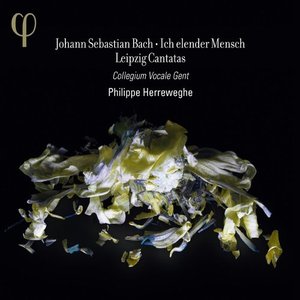 Bach: Ich Elender Mensch - Leipzig Cantatas (2014)