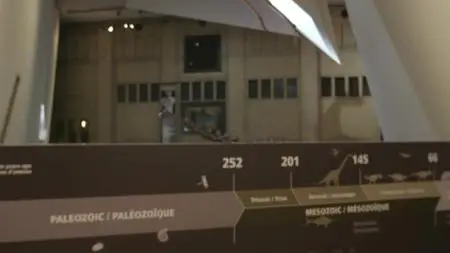Dino Dana S01E11