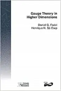 Gauge Theory in Higher Dimensions (Colóquio Brasileiro de Matemática)