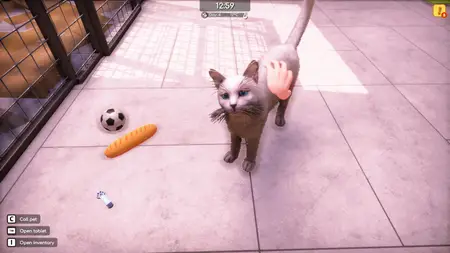 Animal Shelter 2 (2025) PROPER