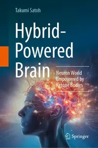 Hybrid-Powered Brain: Neuron World Empowered by Ketone Bodies