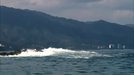 Sharktopus (2010)