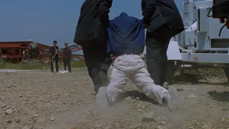 American Yakuza (1993)
