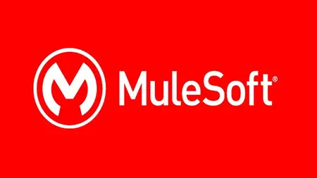 Mulesoft Realtime Project