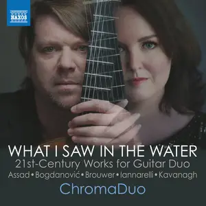 ChromaDuo - What I Saw in the Water (2024) [Official Digital Download 24/96]