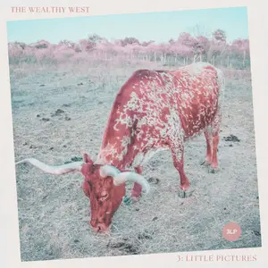 The Wealthy West - 3- Little Pictures (2024) [Official Digital Download]