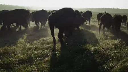 Kevin Costner's The West S01E04