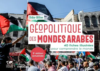 Didier Billion, "Géopolitique des mondes arabes : 40 fiches illustrées pour comprendre le monde"