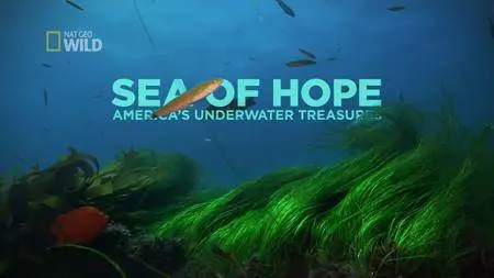 National Geographic - Sea of Hope: America's Underwater Treasures (2017)