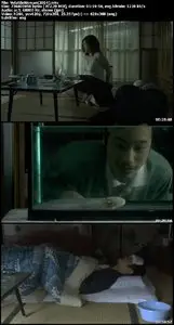 Volatile Woman (2004)