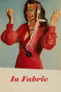 In Fabric (2018)
