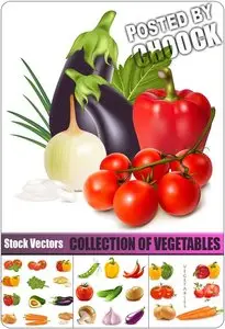 Collection of vegetables - Stock Vector