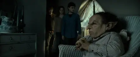 Harry Potter and the Deathly Hallows. Part 2 / Гарри Поттер и Дары Смерти. Часть 2 (2011)
