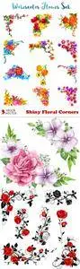 Vectors - Shiny Floral Corners