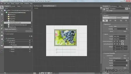 Silverlight 5 Essential Training [repost]