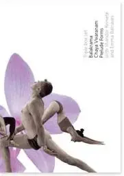 Shandor Remete - Yoga shadows