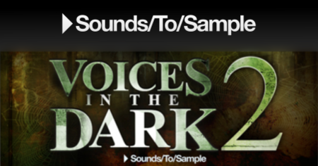 Sounds To Sample Voices in the Dark 2 WAV