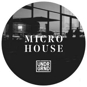 Undrgrnd Sounds Micro House WAV REX AiFF