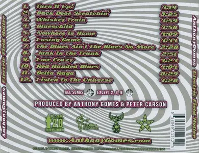 Anthony Gomes - Electric Field Holler (2015)